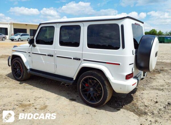 F6A8B002-0359-441F-B161-5A1504B8BF2A MERCEDES BRABUS Rental by the Day